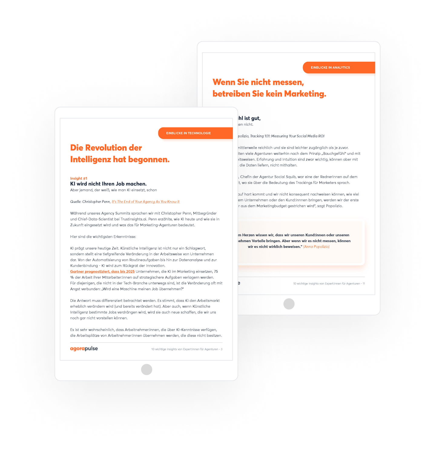 10 Must-Have Experten Insights fuer Agenturen 2024-pages