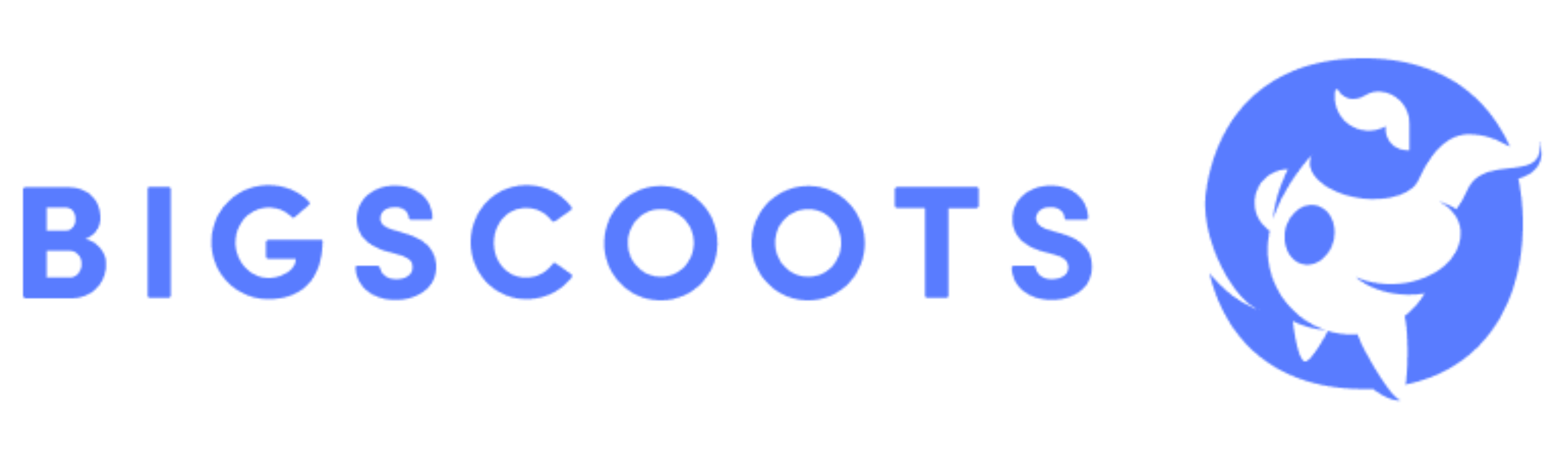 Bigscoots logo